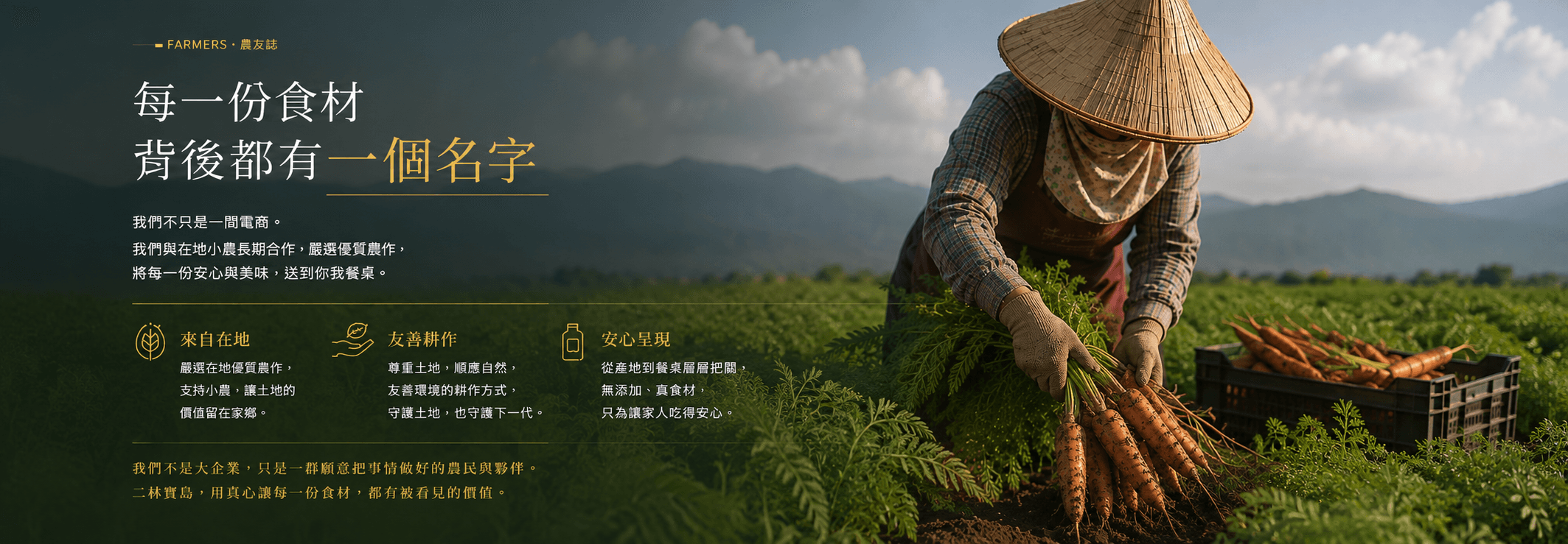 二林寶島 100% 胡蘿蔔、西洋芹、鳳梨原汁